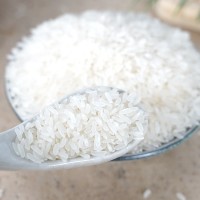 榔橋河支持定制 大米批發(fā)長(zhǎng)粒香米（豐兩優(yōu)）農(nóng)家自產(chǎn)新米真空包