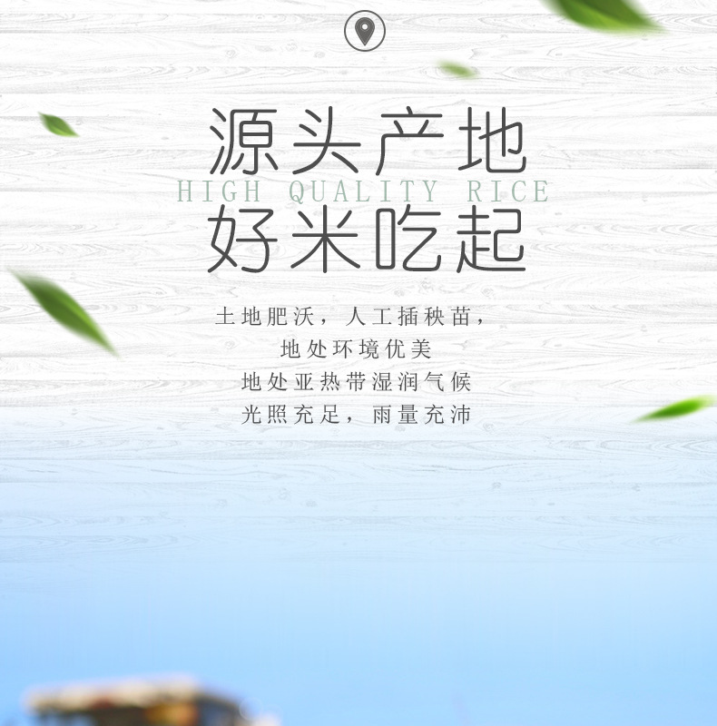 1黃山香米a_009