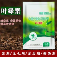 葉綠素氨基酸葉面肥壯棵提苗增厚增綠生根中量元素水溶肥料工廠(chǎng)直