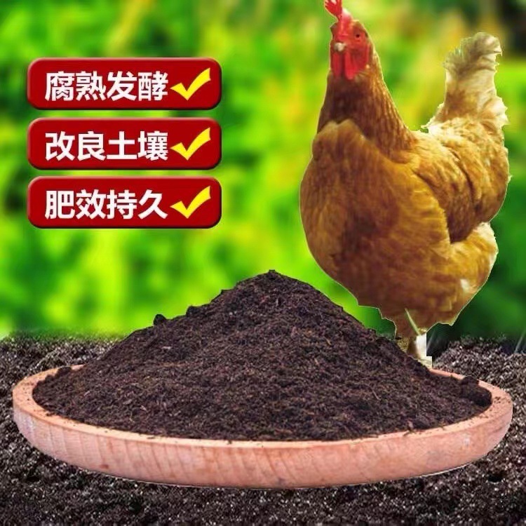 雞糞1.jpg