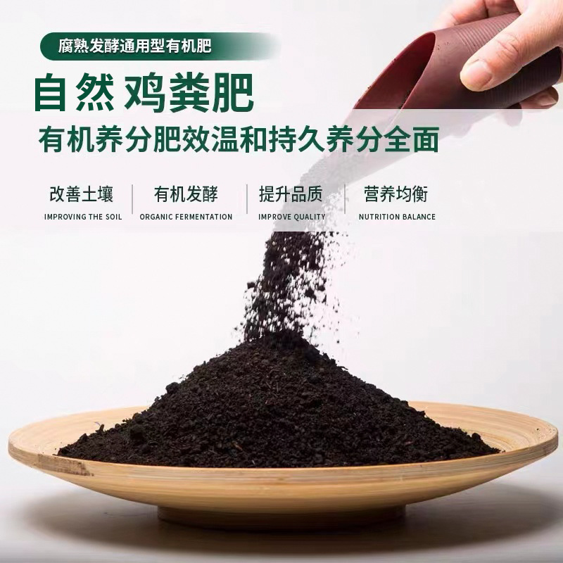 雞糞4