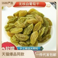新疆無核白綠葡萄干500g袋中果 吐魯番無籽綠干散裝/袋裝 可批發(fā)