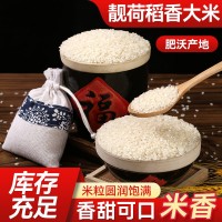 貨源供應(yīng)靚荷稻香大米當(dāng)季圓粒米家用送禮飽滿米粒農(nóng)產(chǎn)品批發(fā)