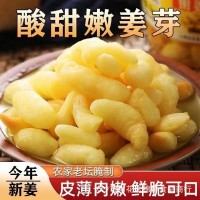 淄博特產(chǎn)泡姜芽250g/500g酸甜爽口下飯菜嫩姜芽腌制生姜醬菜批發(fā)