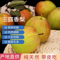 山西隰縣玉露香梨子3/5/10斤新鮮禮盒裝酥梨批發(fā)薄皮香梨一件批發(fā)