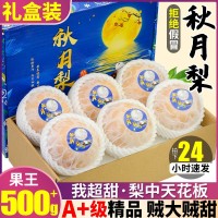 精品果王正宗山東秋月梨10斤梨子當(dāng)季水果整箱萊陽(yáng)雪梨包郵甜禮盒