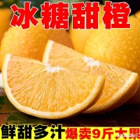 正宗冰糖橙10斤手剝橙子新鮮特級甜橙3當季水果凍橙包郵云南玉溪