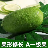 檸檬當季新鮮現(xiàn)摘孕婦水果奶茶店直供手打香水青檸檬一件代發(fā)