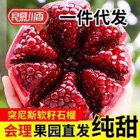 良慕川香 現(xiàn)摘現(xiàn)發(fā)四川會(huì)理突尼斯軟籽石榴新鮮采摘軟籽石榴水果