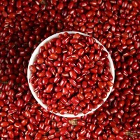 東北紅豆批發(fā)貨源代加工工廠定制紅小豆雜糧超市品質(zhì)25kg中粒大粒