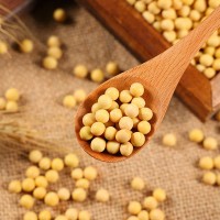 東北敦化產(chǎn)地黃豆批發(fā)源頭加工定制工廠雜糧商超品質(zhì)黃豆大粒小粒