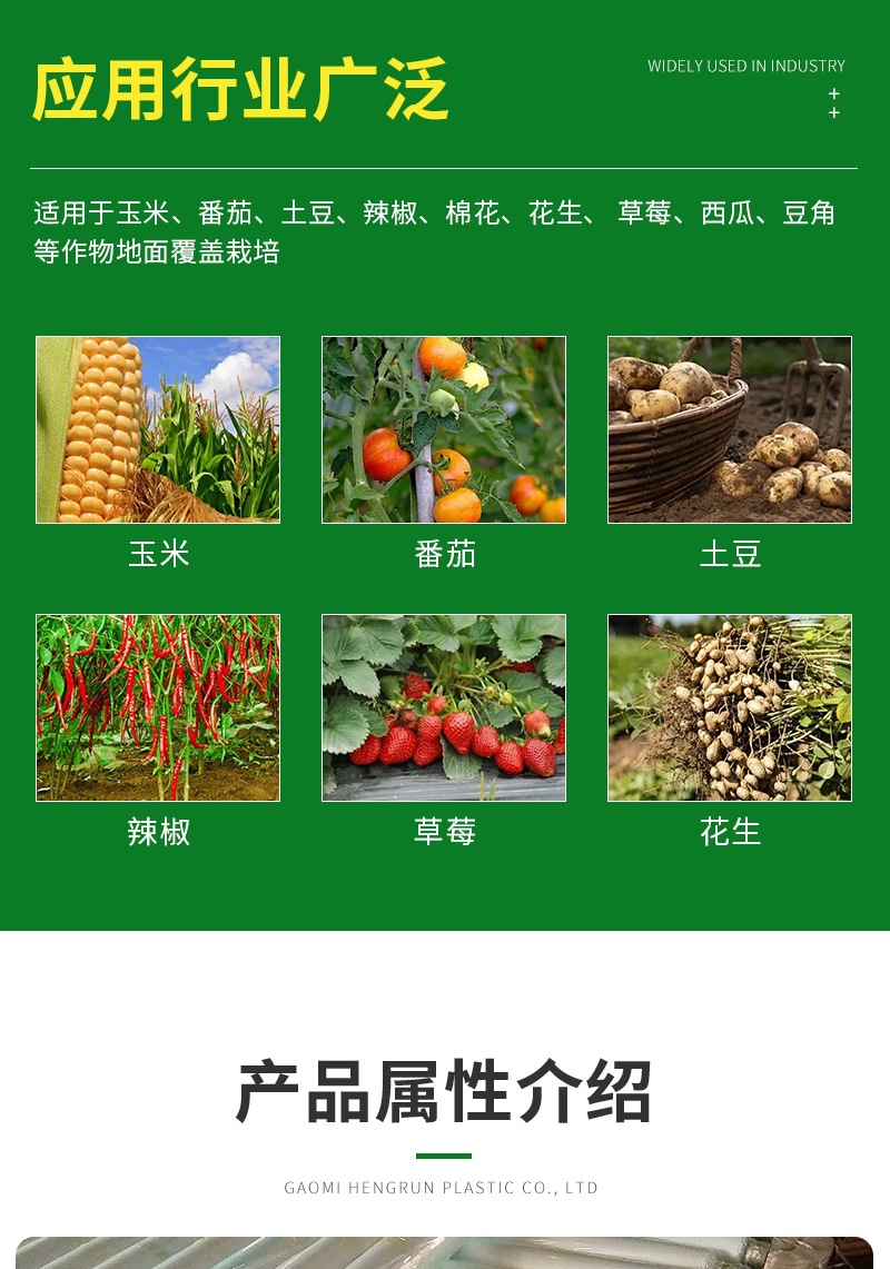 恒潤(rùn)塑料詳情1——白地膜(3)_00