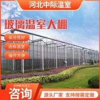玻璃溫室大棚 花卉溫室 育苗玻璃溫室 智能玻璃連棟溫室大棚