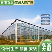 連棟薄膜溫室工程 智能溫室農(nóng)業(yè)用抗寒保溫玻璃溫室 大棚配件批發(fā)