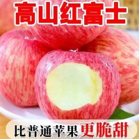 【脆甜多汁】陜西新鮮紅富士蘋果早熟紅富士現(xiàn)摘蘋果2斤5斤9斤