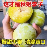 【脆甜多汁】現(xiàn)摘秋姬李3斤5斤陜西李子新鮮奈李水果脫骨李茵紅李