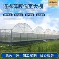 廠家蔬菜水果暖棚薄膜連棟溫室大棚 簡易連體薄膜溫室大棚建設(shè)