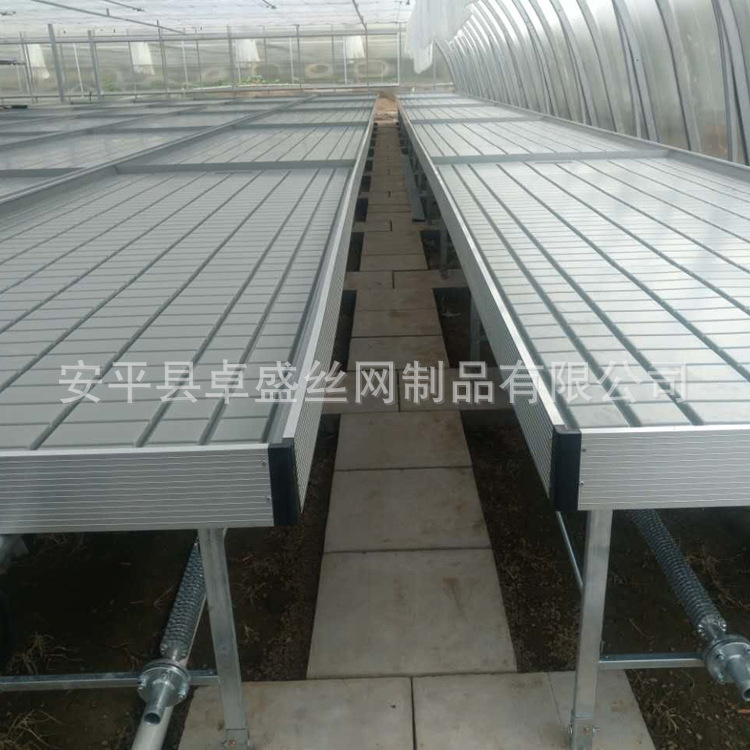 潮汐苗床 (7).jpg