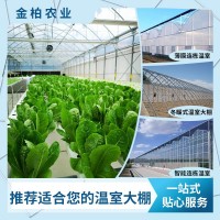 蔬菜大棚雞鴨鵝養(yǎng)殖大棚建設(shè)大棚骨架大棚配件連棟農(nóng)業(yè)種植大棚