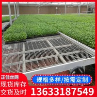 熱鍍鋅移動(dòng)苗床 大棚溫室植物苗床 種植工藝花卉苗床育苗溫室苗床