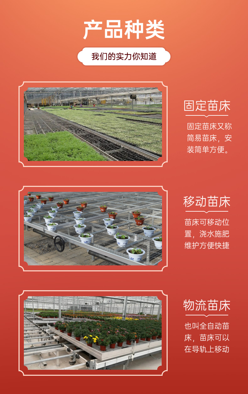 苗床 (4).png