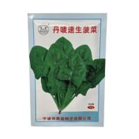 批發(fā)丹嘜速生菠菜種子蔬菜秋冬籽種陽臺種籽菜種盆栽波菜孑菜籽子
