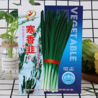 寒香韭菜農田菜園蔬菜種子高產易種250g寒香韭菜種子批發(fā)