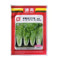 蔬菜種子公司供應優(yōu)質小白菜種子德高早熟長江5號快菜種耐熱耐濕