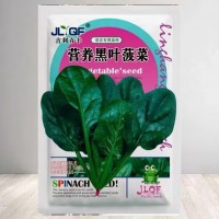 營養(yǎng)黑葉菠菜種子春秋冬季四季播種耐寒耐熱大圓葉菠菜籽蔬菜種子