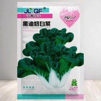 原裝黑油奶白菜種子四季種植黑油冬烏黑白菜秋冬蔬菜種子耐熱耐寒