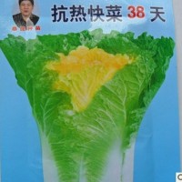 批發(fā)蔬菜快菜38天大白菜種子娃娃菜生長期38--40天成熟10克裝