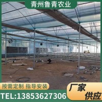 供應(yīng)農(nóng)業(yè)大棚造價(jià)薄膜連棟大棚 玻璃溫室防蟲避雨棚葡萄連體大棚