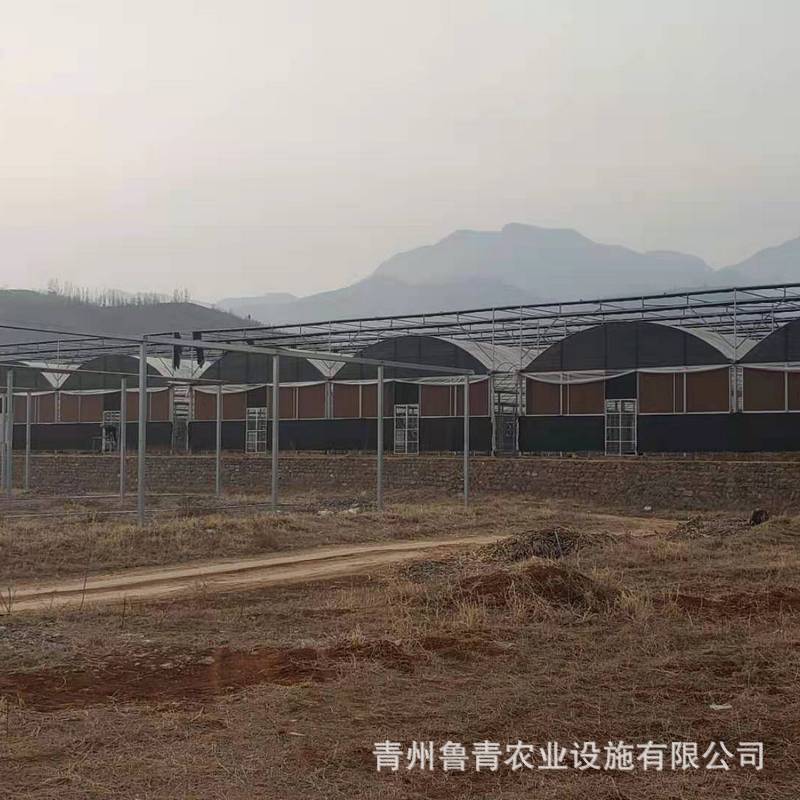 微信圖片_202103151009072_1.jpg