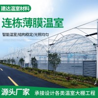 塑料薄膜大棚 連棟薄膜大棚 連棟大棚骨架 鋼架大棚 花卉大棚