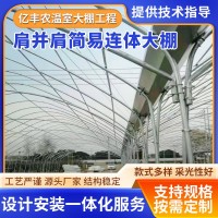 肩并肩簡易連體大棚 農(nóng)業(yè)大棚連棟保溫簡易大棚 可設(shè)計(jì)安裝種植棚