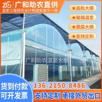 新型連棟溫室大棚農(nóng)業(yè)觀光智能養(yǎng)植栽培玻璃溫室建造簡(jiǎn)易蔬菜棚