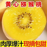 黃心奇異果獼猴桃水果新鮮采摘當(dāng)天發(fā)貨一件代發(fā)批發(fā)團購