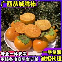 巧克力脆柿廣西恭城脆柿脆甜不澀廣西硬柿子