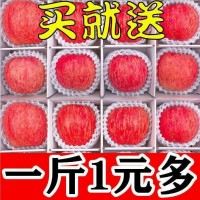 【精選】高山冰糖心紅富士蘋果水果新鮮脆甜特價多規(guī)格整箱批發(fā)