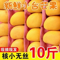 海南小臺(tái)農(nóng)芒果新鮮小臺(tái)芒雞蛋芒熱帶水果批發(fā)包郵