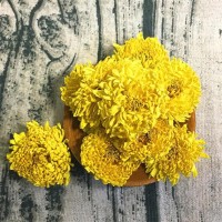 散裝金絲皇菊黃山皇菊菊花茶婺源皇菊一手貨源 量大價(jià)優(yōu) 現(xiàn)貨批發(fā)