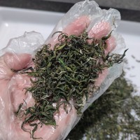 2023新茶雨前高山春茶毛尖大別山地區(qū)土茶湖北綠茶云霧茶散裝批發(fā)