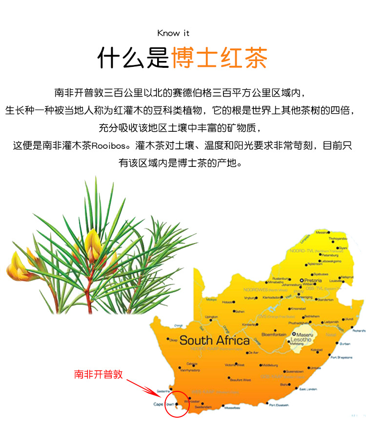 博士紅茶25g詳情頁_07.jpg