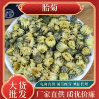新貨散裝胎菊 沖泡京胎菊花草茶現(xiàn)貨菊花茶廠家批發(fā)直銷泡水花茶