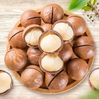 代發(fā)夏威夷果奶油味250g 年貨零食禮品堅(jiān)果批發(fā)手剝帶殼夏威夷果