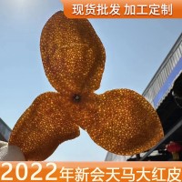 2022年天馬梅江大紅皮 新會陳皮 新皮正宗特產(chǎn)日曬純干倉 廠家批發(fā)