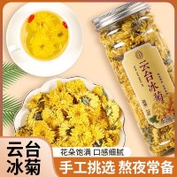 艮古堂云臺(tái)冰菊代用茶一朵一杯罐裝居家辦公大花菊花