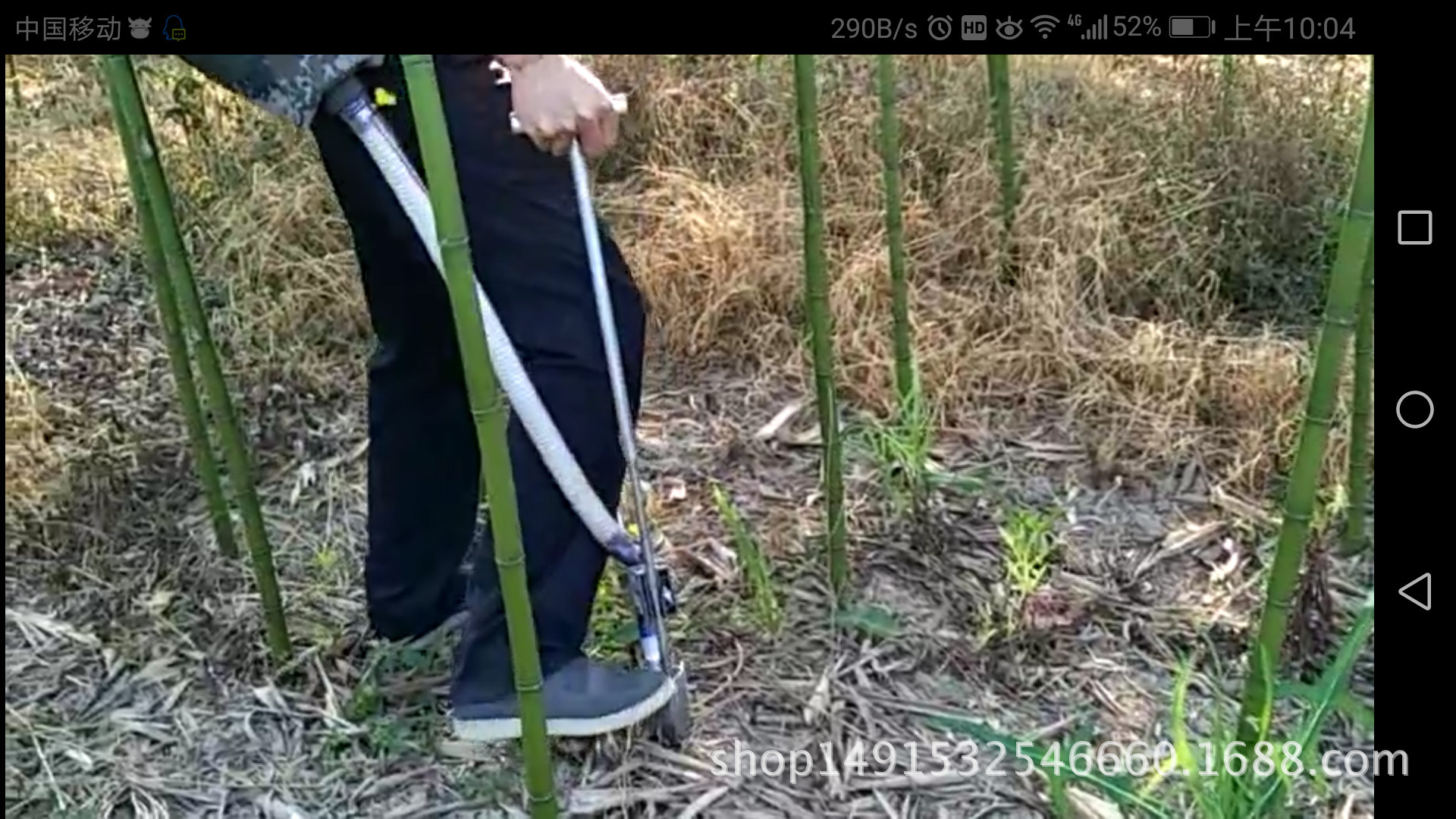 果樹雷竹追肥