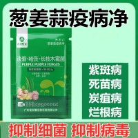 蔥姜蒜病全治殺菌劑大蒜 干尖靈 大蔥銹病大姜炭疽姜瘟疫病專(zhuān)用藥