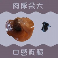 精選木耳批發(fā)甘肅農(nóng)業(yè)特產(chǎn)干貨干木耳黑木耳包郵500g禮盒裝
